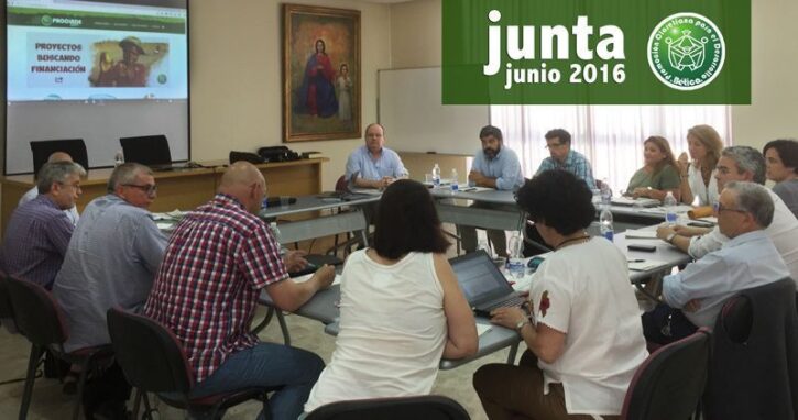 junta directiva