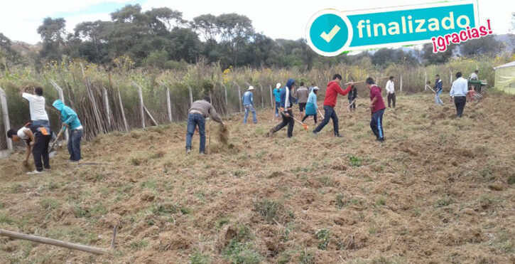 granja lechera cetha. Proyecto en Bolivia