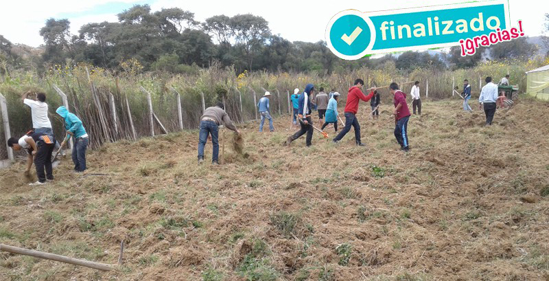 granja lechera cetha. Proyecto en Bolivia