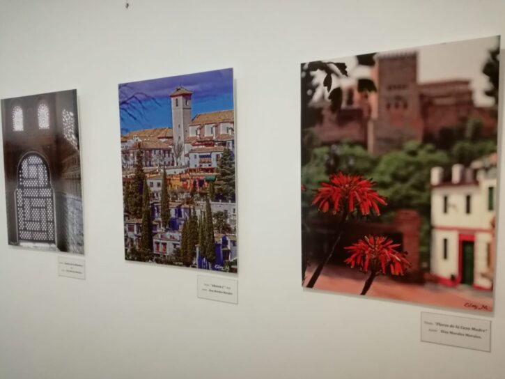 Exposición a beneficio del proyecto Emaús