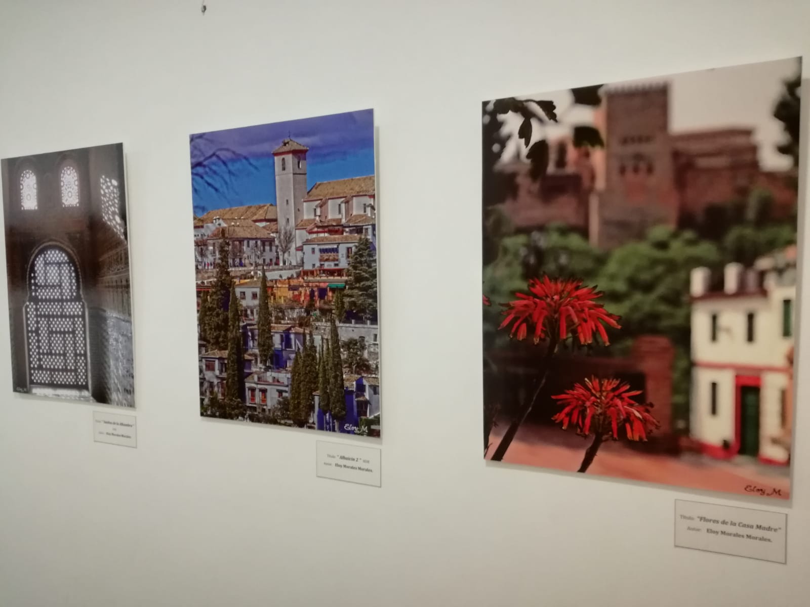 Exposición a beneficio del proyecto Emaús